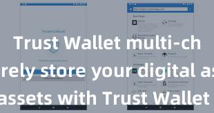 Trust Wallet multi-chain Securely store your digital assets with Trust Wallet download