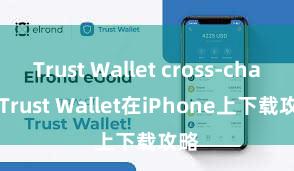 Trust Wallet cross-chain Trust Wallet在iPhone上下载攻略